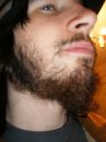 no shave beard